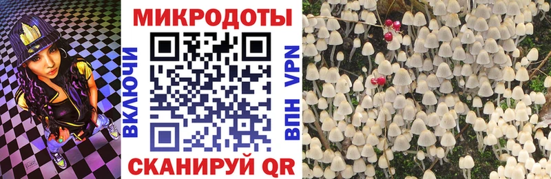 Галлюциногенные грибы Magic Shrooms  даркнет сайт  Гремячинск 